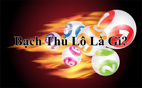 Bạch Thủ Lô Là Gì?