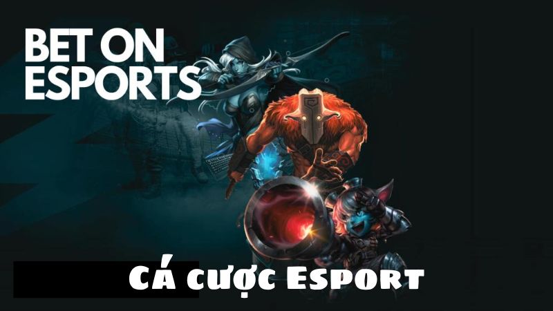 Các Loại Hình Cá Cược Esports Phổ Biến